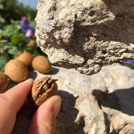 Borgo Venkovský dům