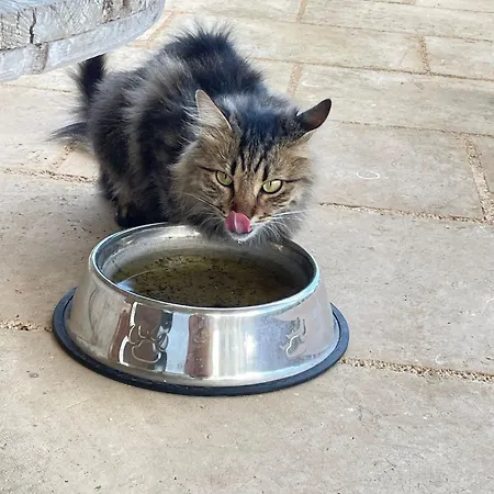 Borgo Venkovský dům *