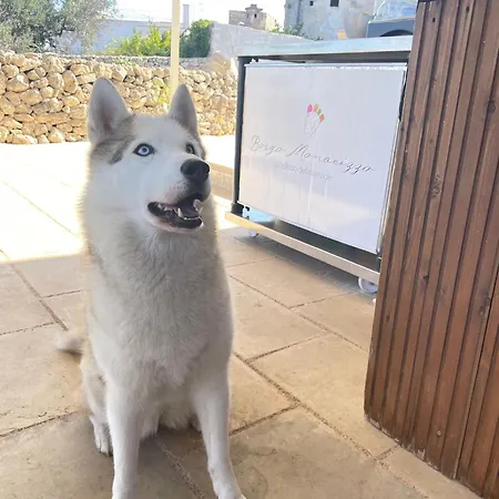 Venkovský dům Borgo