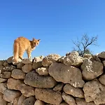 Borgo Casa rural *
