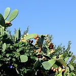 Borgo Casa di campagna Monacizzo