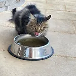 Borgo Casa di campagna *