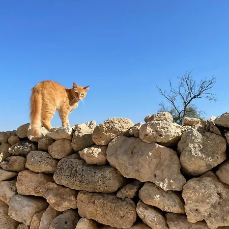 Borgo 컨트리하우스 *