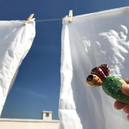 منزل ريفي Borgo *