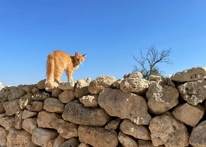 Borgo Casa di campagna *