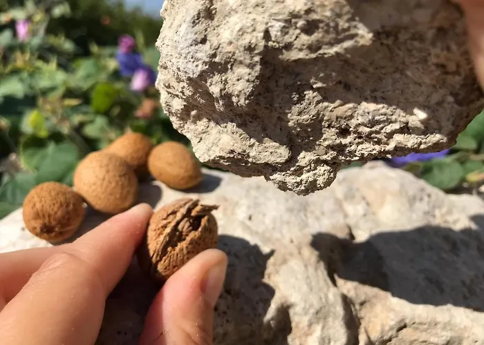 Borgo Casa di campagna