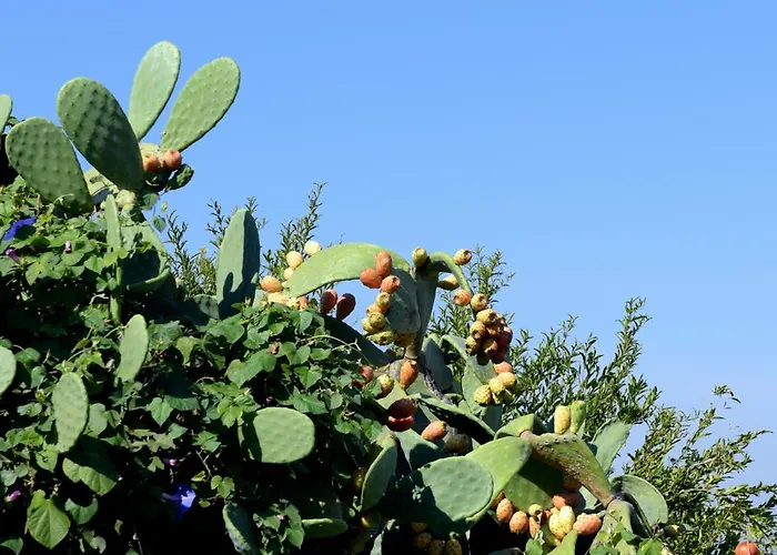Borgo Casa di campagna Monacizzo