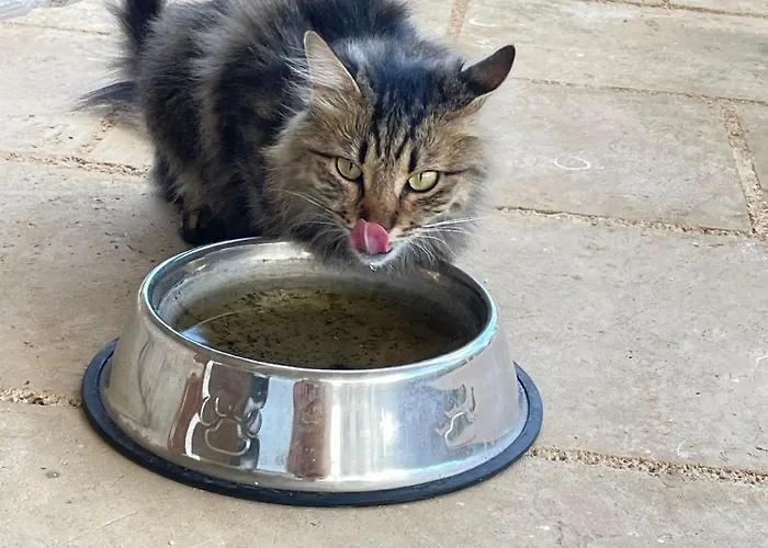 Borgo Casa di campagna *