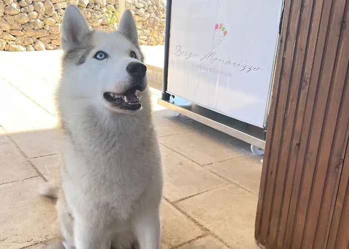 Casa di campagna Borgo